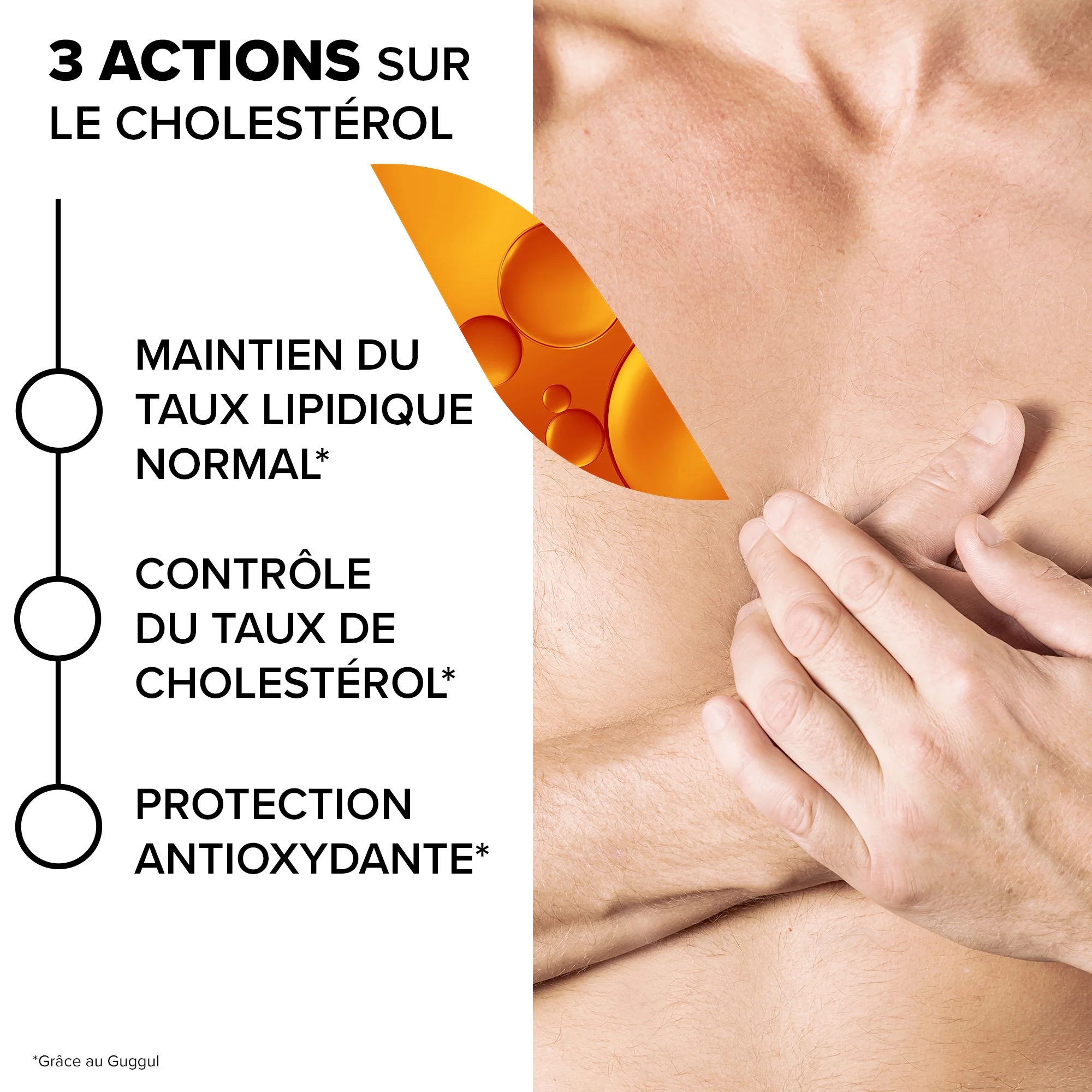 Arkogélules® Complexe Phyto LDL Control - Image 2