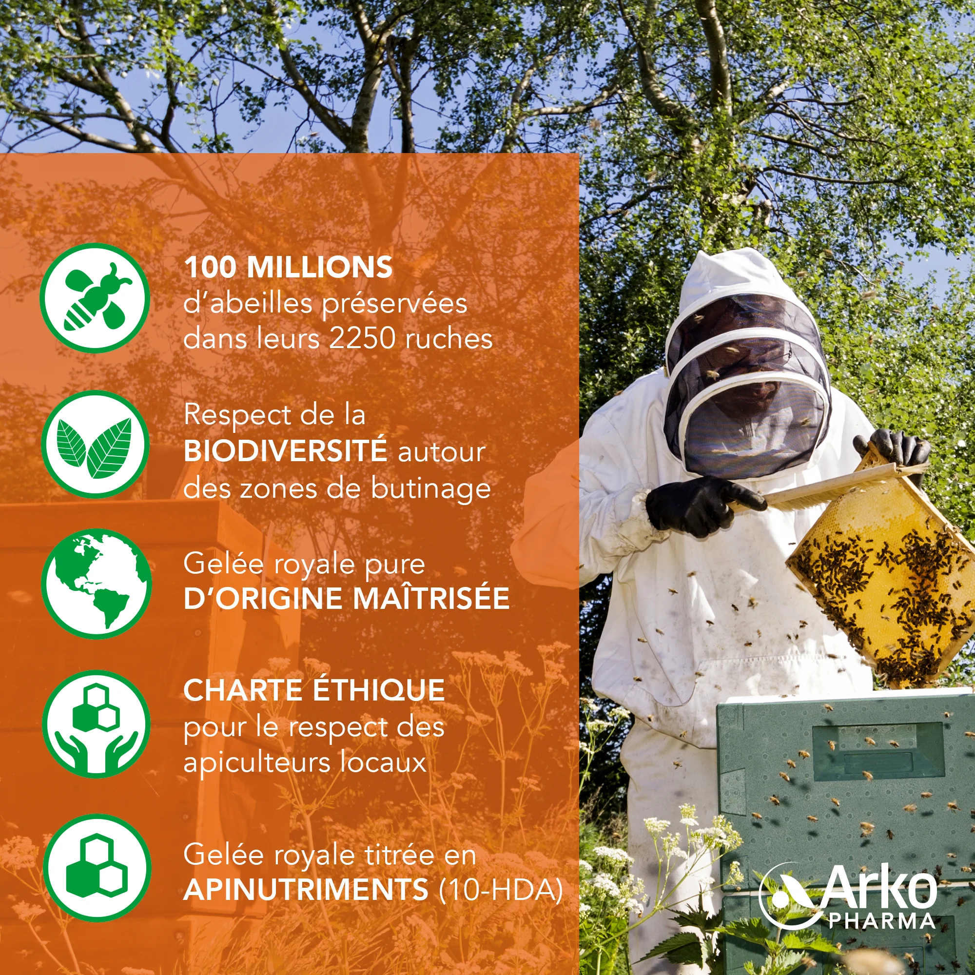 Arkoroyal® Vitadéfenses - Image 6