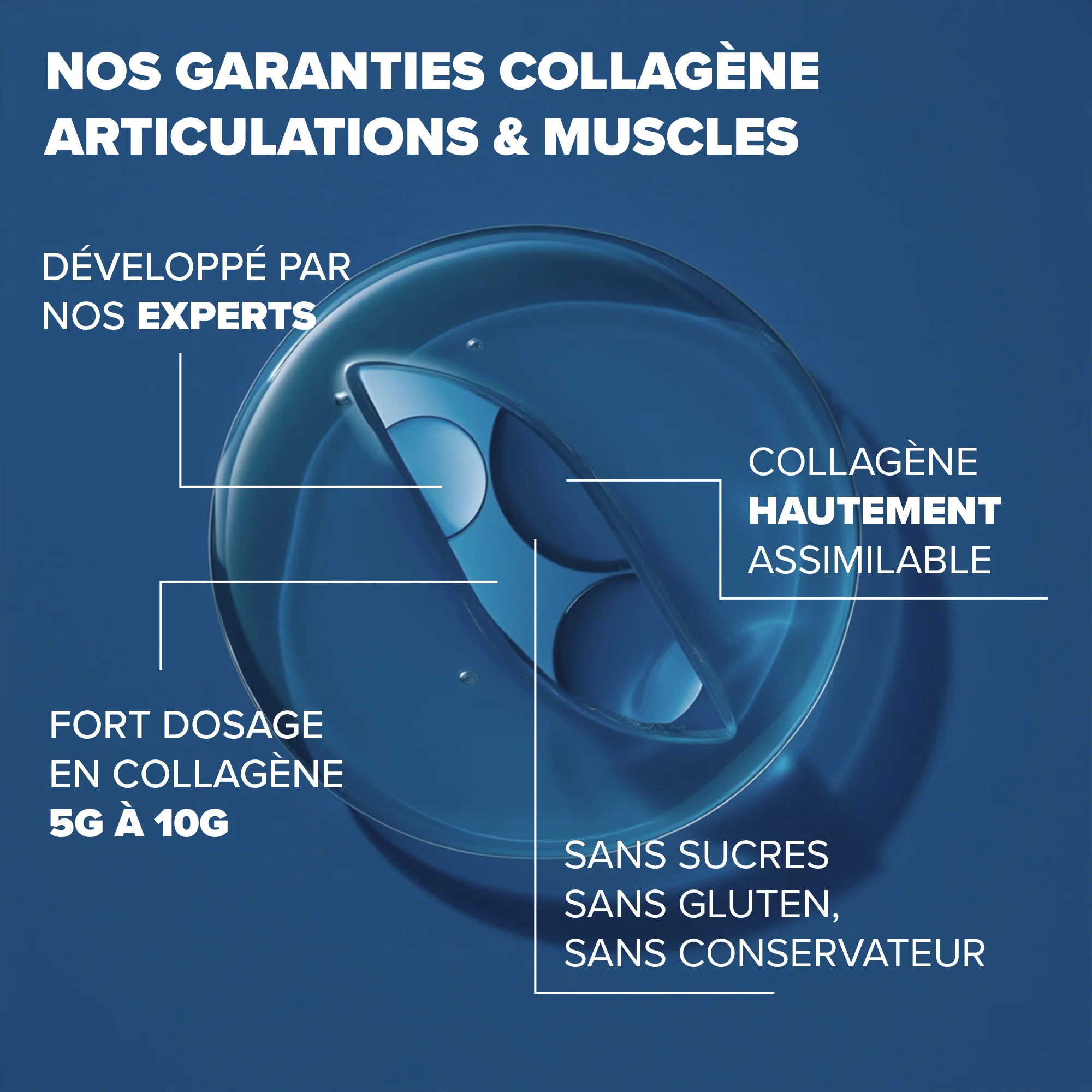 Collagène articulations & muscles - Image 3