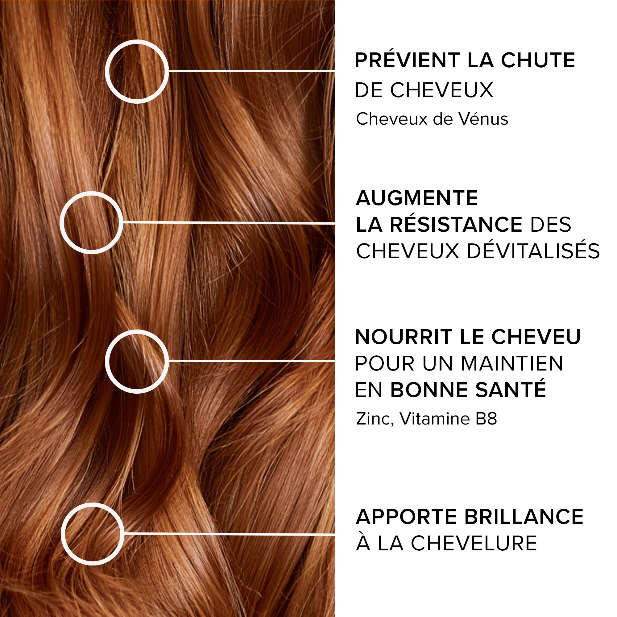 Forcapil® Anti-chute - Image 4