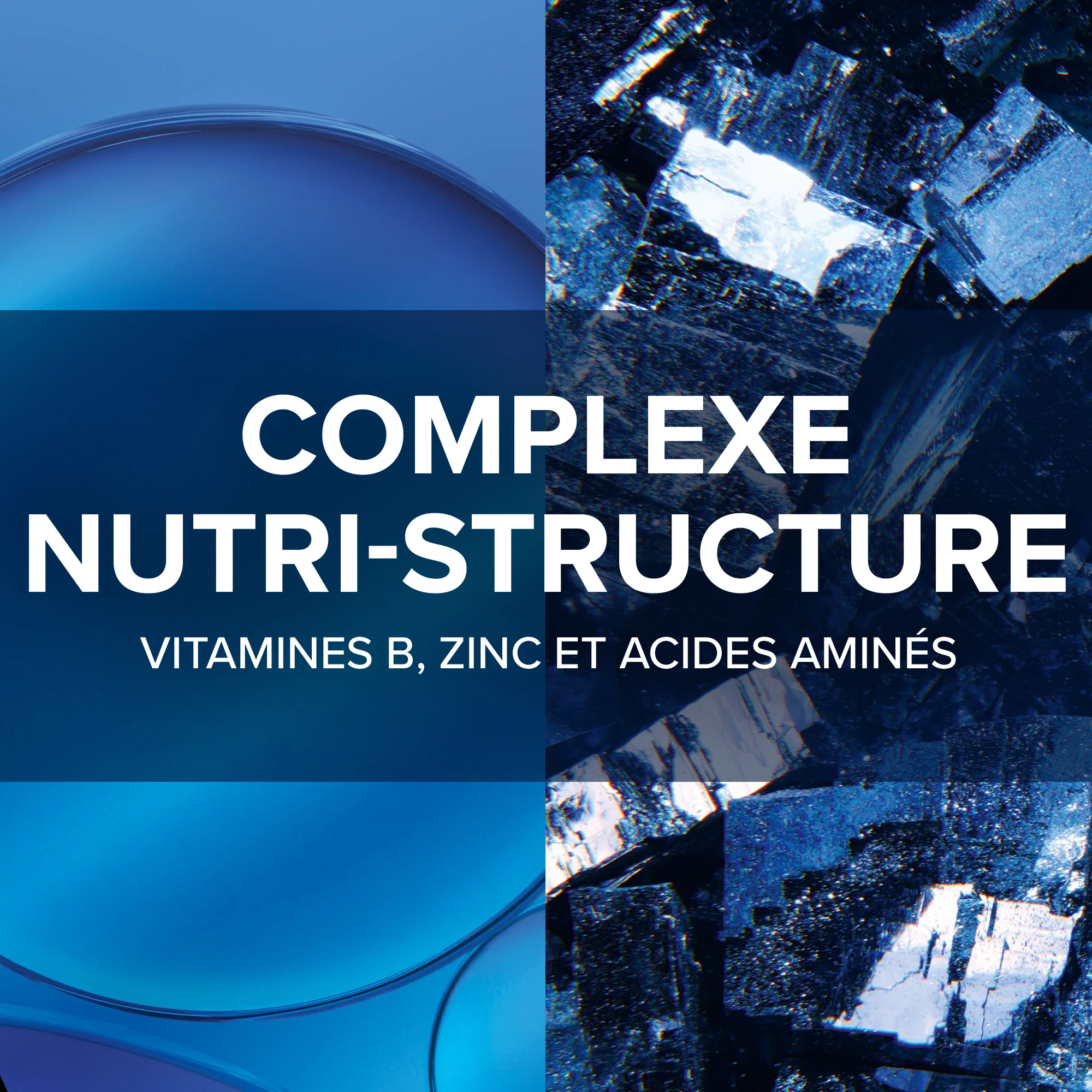Forcapil® Fortifiant Expert - 180 gélules - Image 3