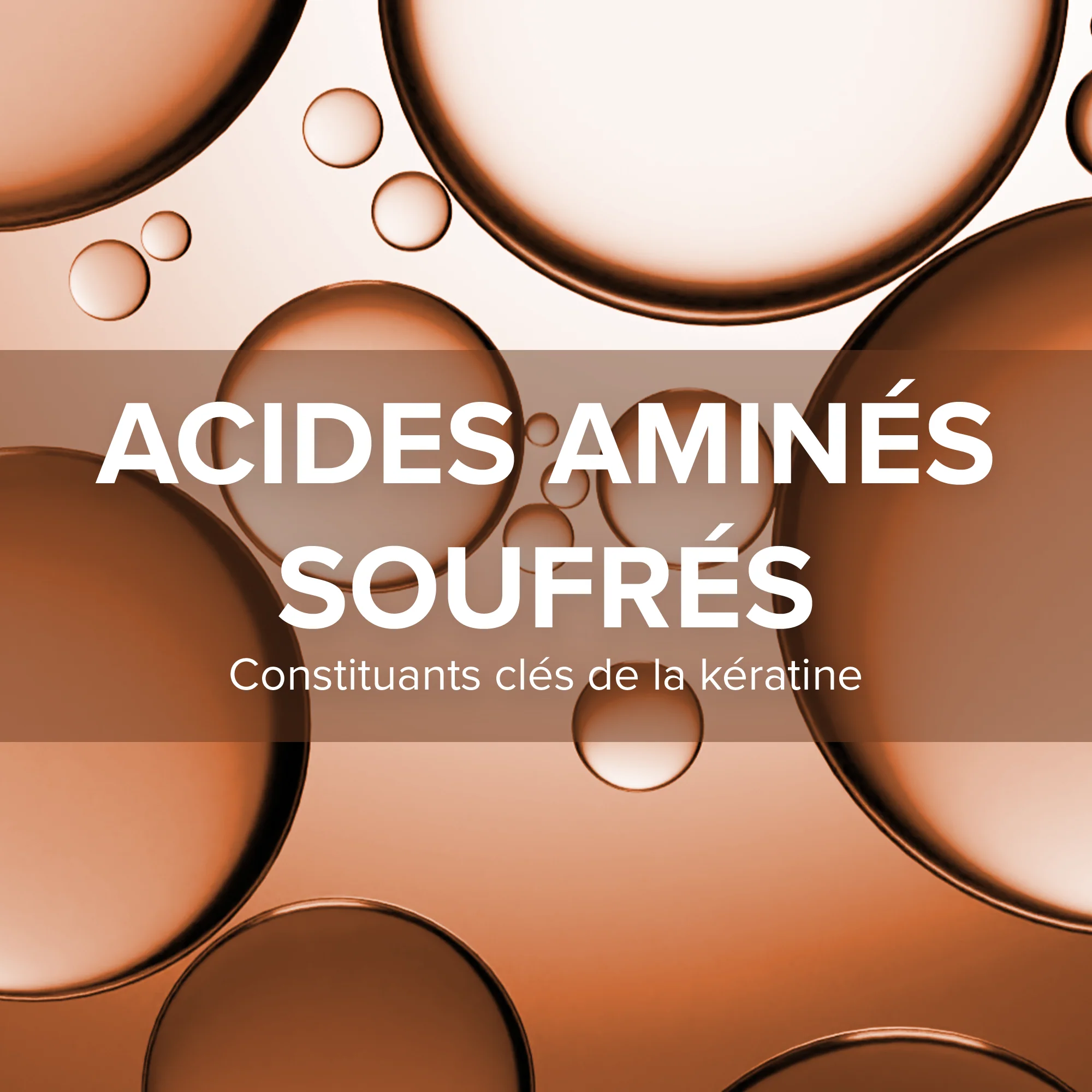 Forcapil® Fortifiant Kératine+ - Programme 3 mois - Image 3