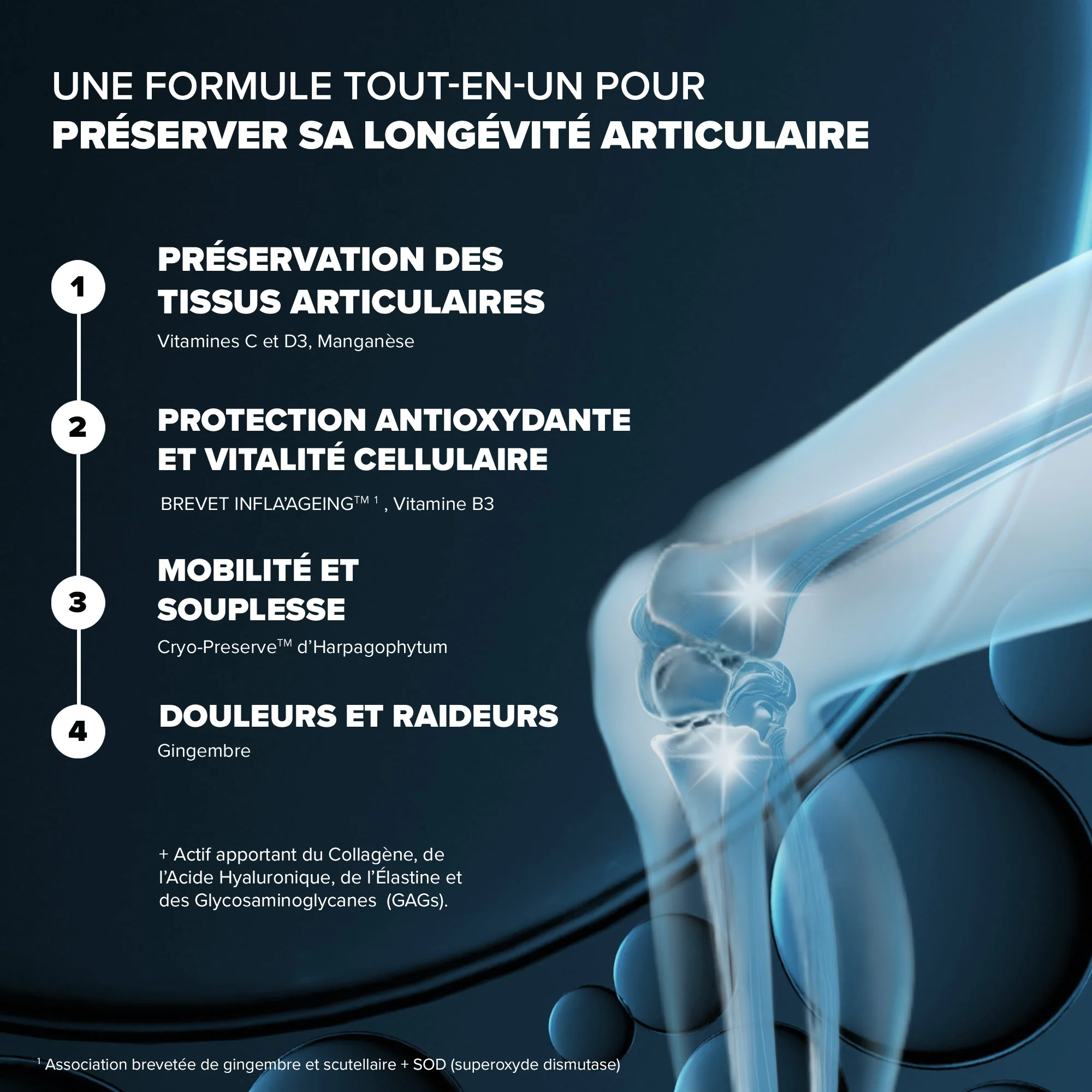 Santé Longévité Capital Articulaire - Image 3
