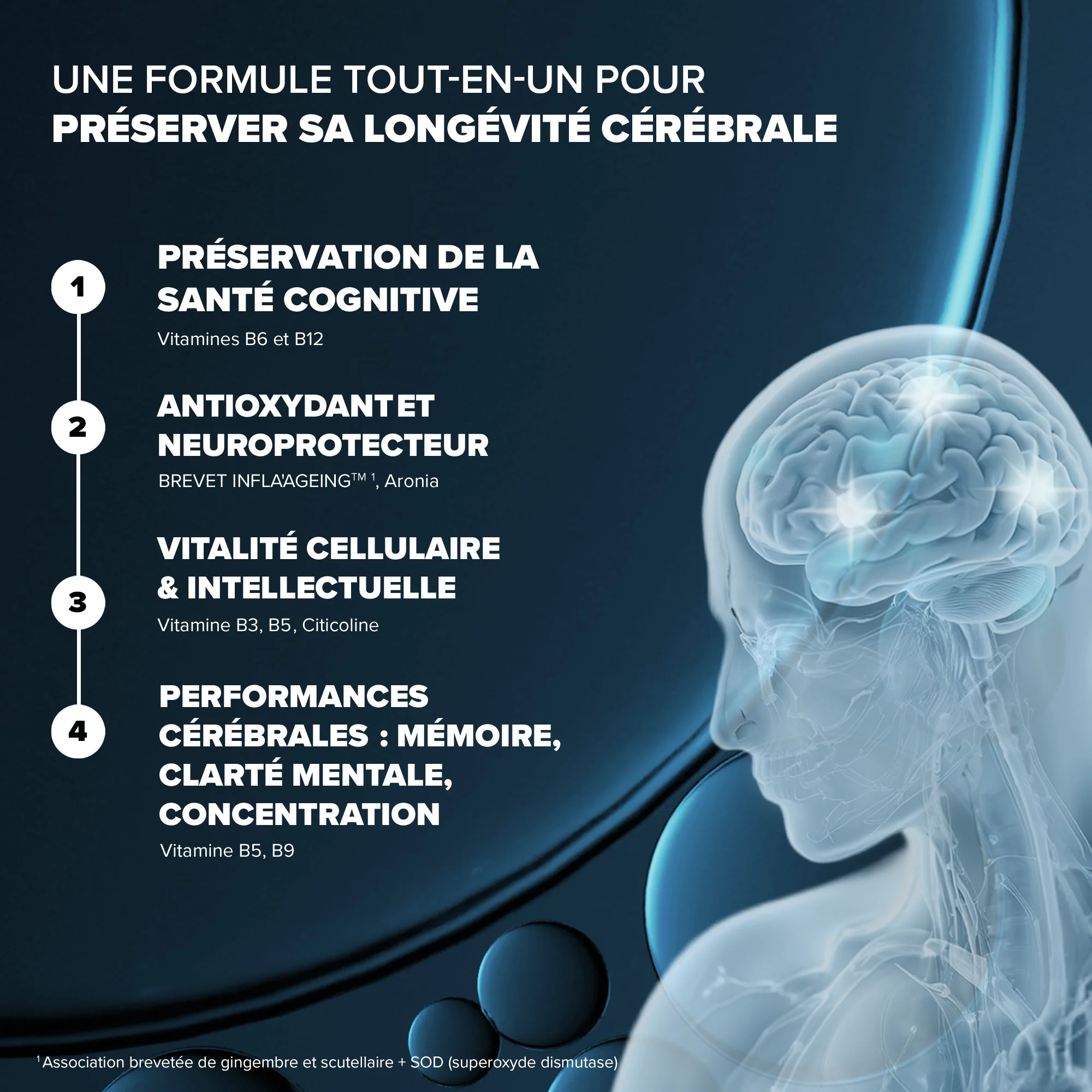Santé Longévité Capital Cérébral - Image 3
