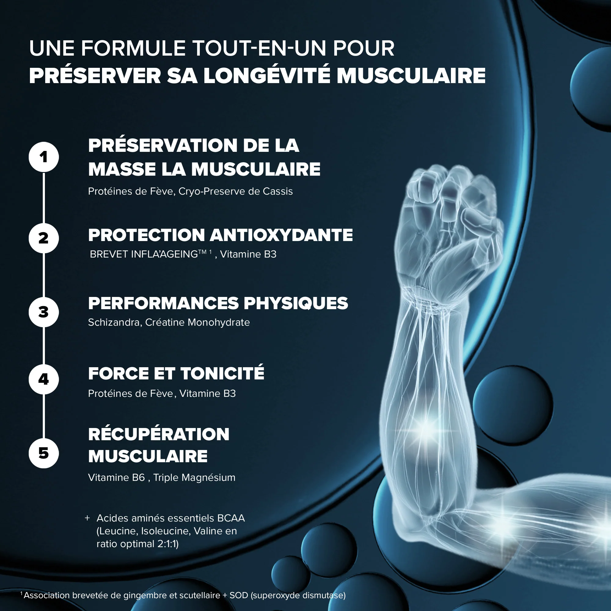 Santé Longévité Capital Musculaire - Image 3