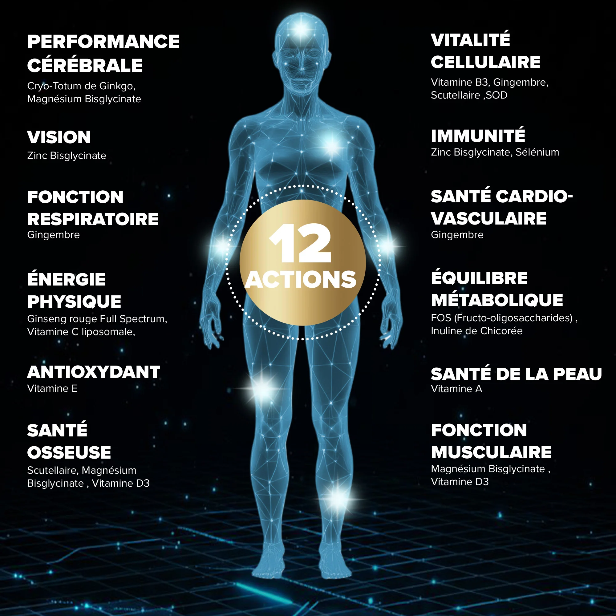 Santé Longévité Prévention globale 12 - Image 3