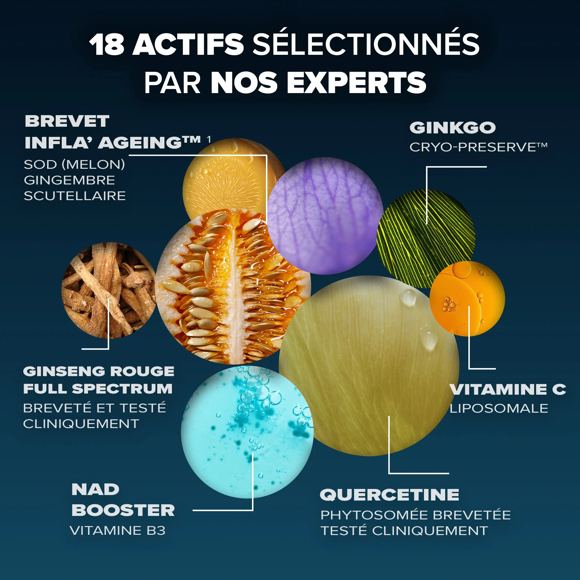 Santé Longévité Prévention globale 12 - Image 4